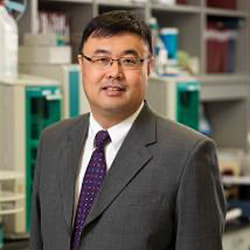 Dr. Qiang Liu