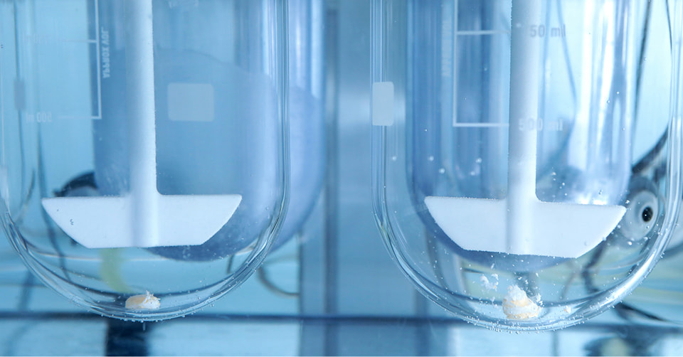 Benefits of Submitting Master Formulation Records