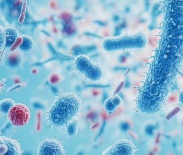 Microbiology Testing